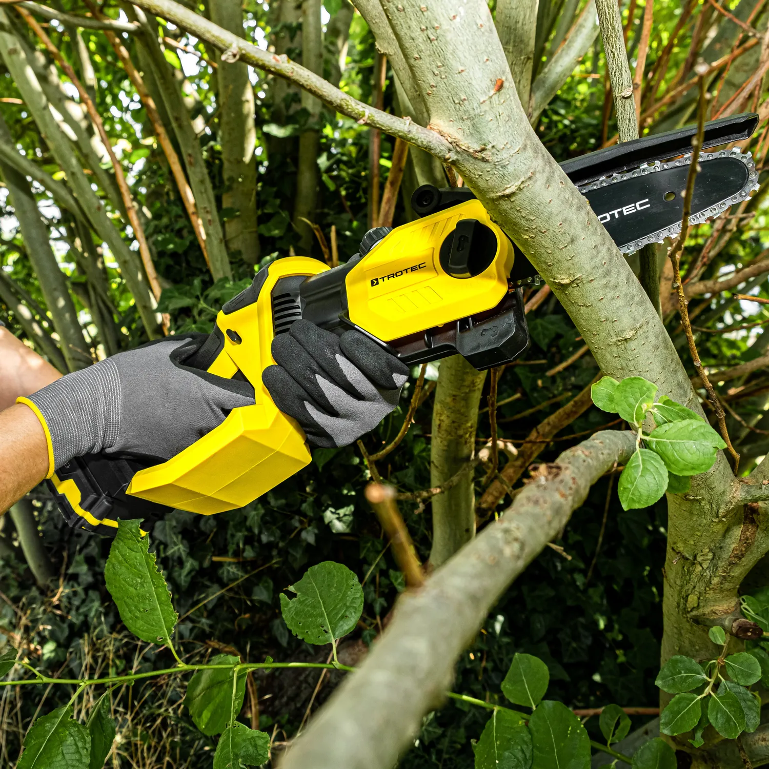 Motosierra PCHS 10-20V